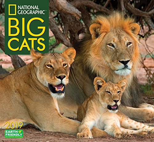 E.b.o.o.k National Geographic Big Cats 2019 Wall Calendar [P.P.T]