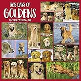 365 Days of Goldens 2019 Wall Calendar (Dog Breed Calendar) by 