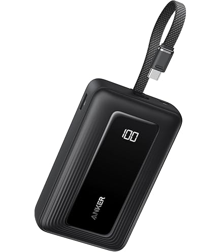 Amazon.com: Anker Portable Charger, 20,000mAh Power Bank, Battery