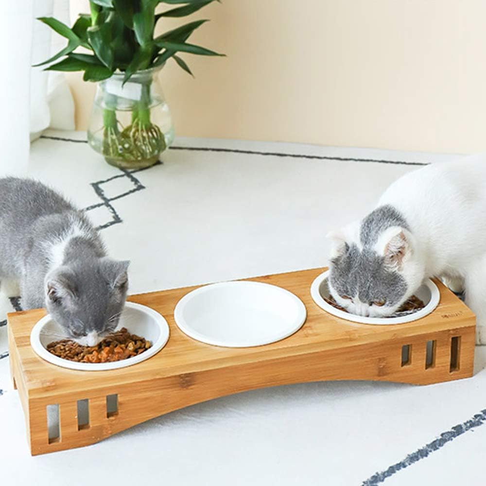 Amazon 猫 食器 スーツ 猫 えさ 皿 水飲 おやつ カカルン 食器 ボウル 通販