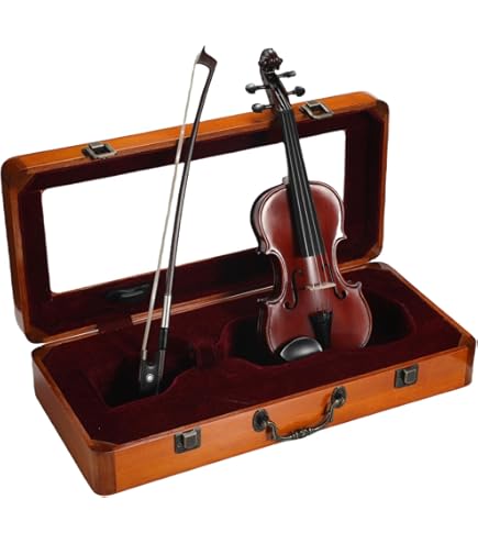 Amazon.com: Cremona SV-100 Premier Novice Violin Outfit, 1/32 Size