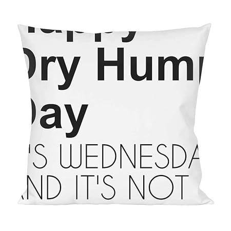 Happy Dry Hump Day Funny Slogan Pillow Amazon Co Uk Kitchen Home