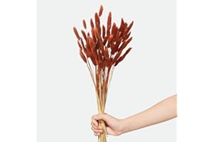 HSTEY 120pcs Bunny Tails Dried Flowers Plant Boho Pampas Grass 17 inch for Home Decor Wedding Bouquet Natural Flower Arrangements (Burnt Orange)