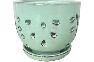 Beitewei Orchid Pots with Holes Round Ceramic Flower Container Succulent Plant Planter Butterfly Pot Saucer Windowsill Contemporary Home Decoration (6 Inch, Light Green)