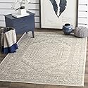 Safavieh Adirondack Collection ADR108B Ivory and Silver Oriental Vintage Medallion Area Rug (5'1" x 7'6")
