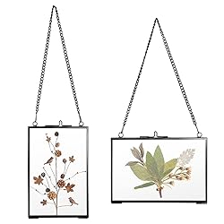 JUXYES Set of 2 Brass Wall Hanging Photo