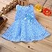 Rorychen Baby Girls' Sleeveless Lace Zipper Dress 24 Months Light Blue