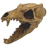 Screaming Aztec Death Whistle at 135 decibels