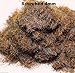 WWS Scorched 4mm Mix Model Basing Static Grass 10g G,O,HO/OO,TT,N.Z Wargames