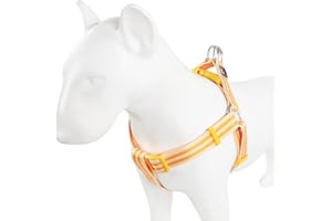 Tiffpaws Dog Halter Harness, Striped Polyester No Pull Dog Harnesses, Adjustable Light and Easy to Carry, Walk and Training, Escape-Proof Dog Straps (Orange, M)