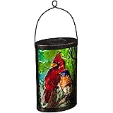 Amazon.com: Echo Valley 4350 45-Inch Illuminarie Sun ...