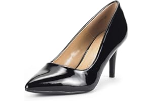 DREAM PAIRS Women's High Stiletto Heels Closed Pointed Toe Dress Pumps Shoes for Wedding Work Office Business, 3 Inches