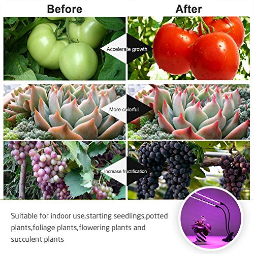 Plant Grow Light,2018 Latest Timer Function (Auto Turn On/Off), Dual Head 36 LED （18w）with Red/Blue Spectrum, 5 Dimmable Levels，Flexible 360 Degree Gooseneck forIndoor Plants Seeding Growing