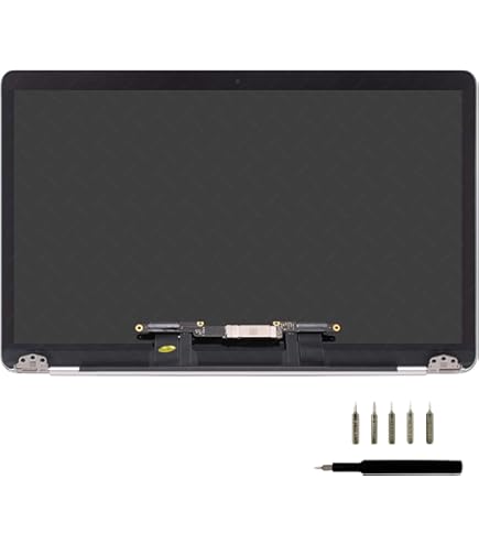 Amazon.com: LCDOLED Compatible with MacBook Pro 13'' 2020 A2251