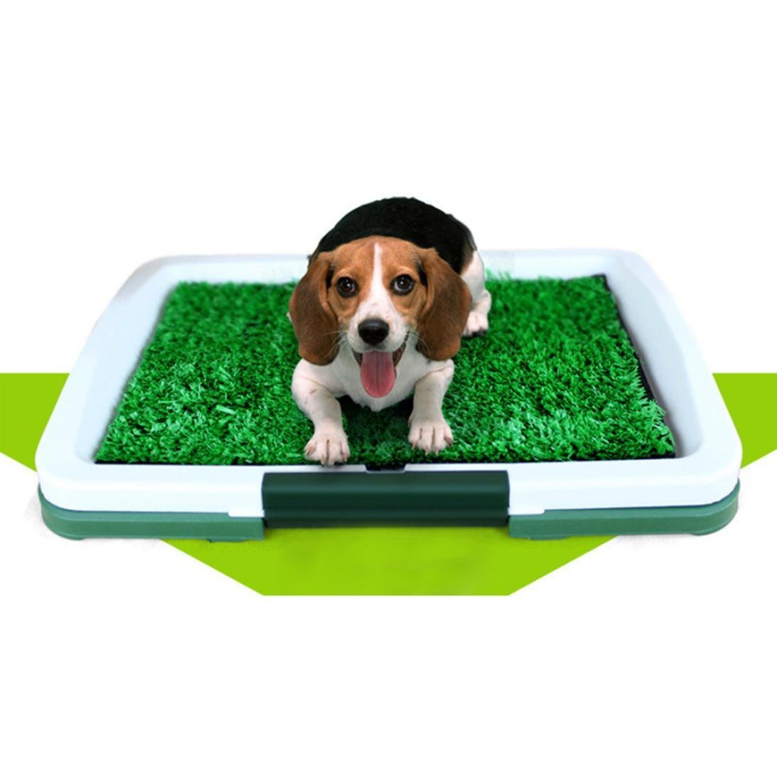 dog training grass patch