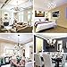 E12 LED Bulb,Acaxin LED Candelabra Bulbs 6W 60 Watt Equivalent, 600 Lumen,Natural Daylight White 4000K Chandelier Light Bulbs for Ceiling Fan,Non-Dimmable,6 Pack
