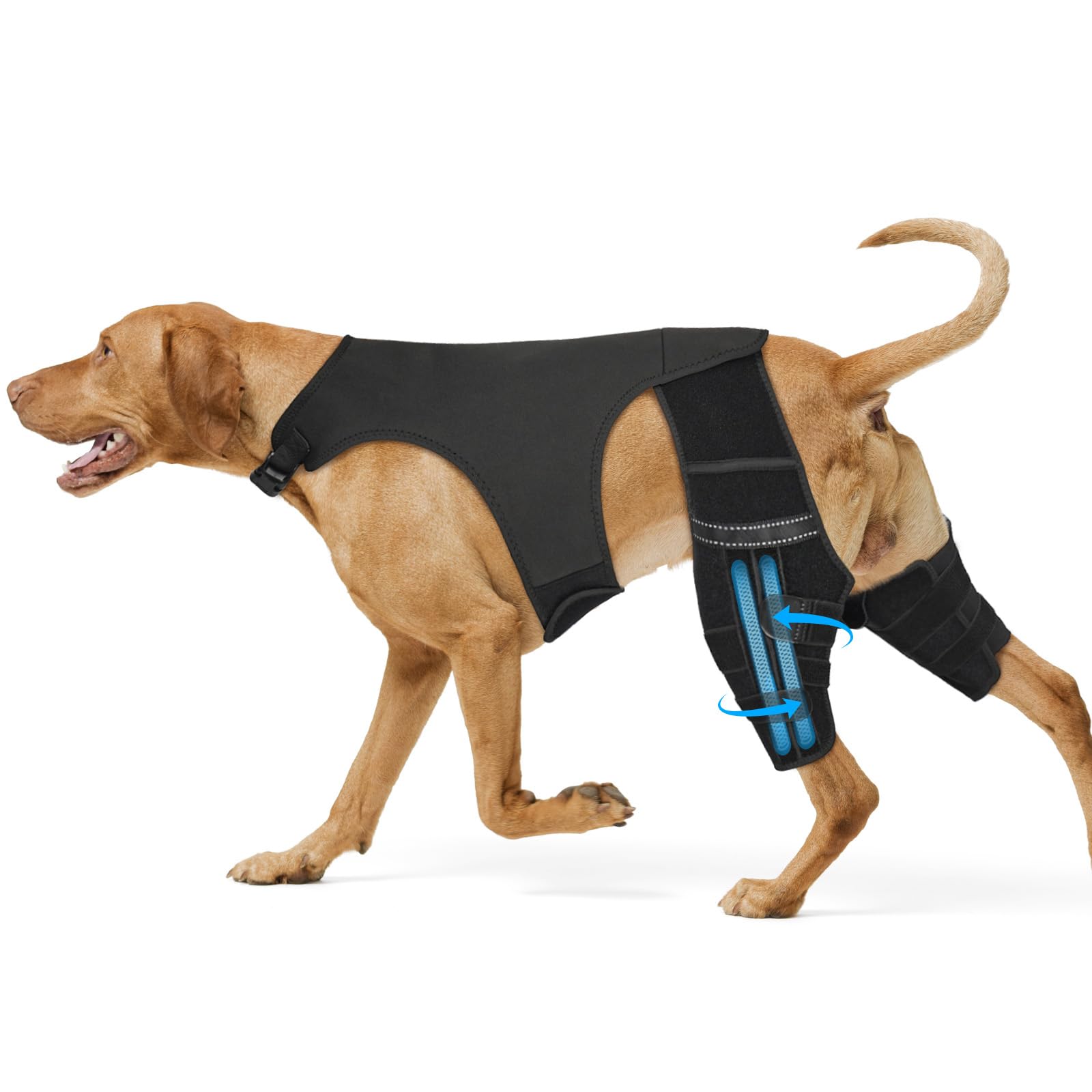 Photo 1 of Marnonsis Dog Leg Braces for Back Leg, Adjustable Dog Knee Brace for Torn Acl Hind Leg with 4 Stabilizers, Hip Support to Reduces Pain, Ligament Injuries & Luxating Patella for Small Medium Large Dogs