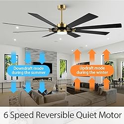 ELEHINSER 60 Inch Ceiling Fan with Lights and