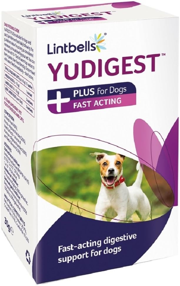 hills science plan kitten