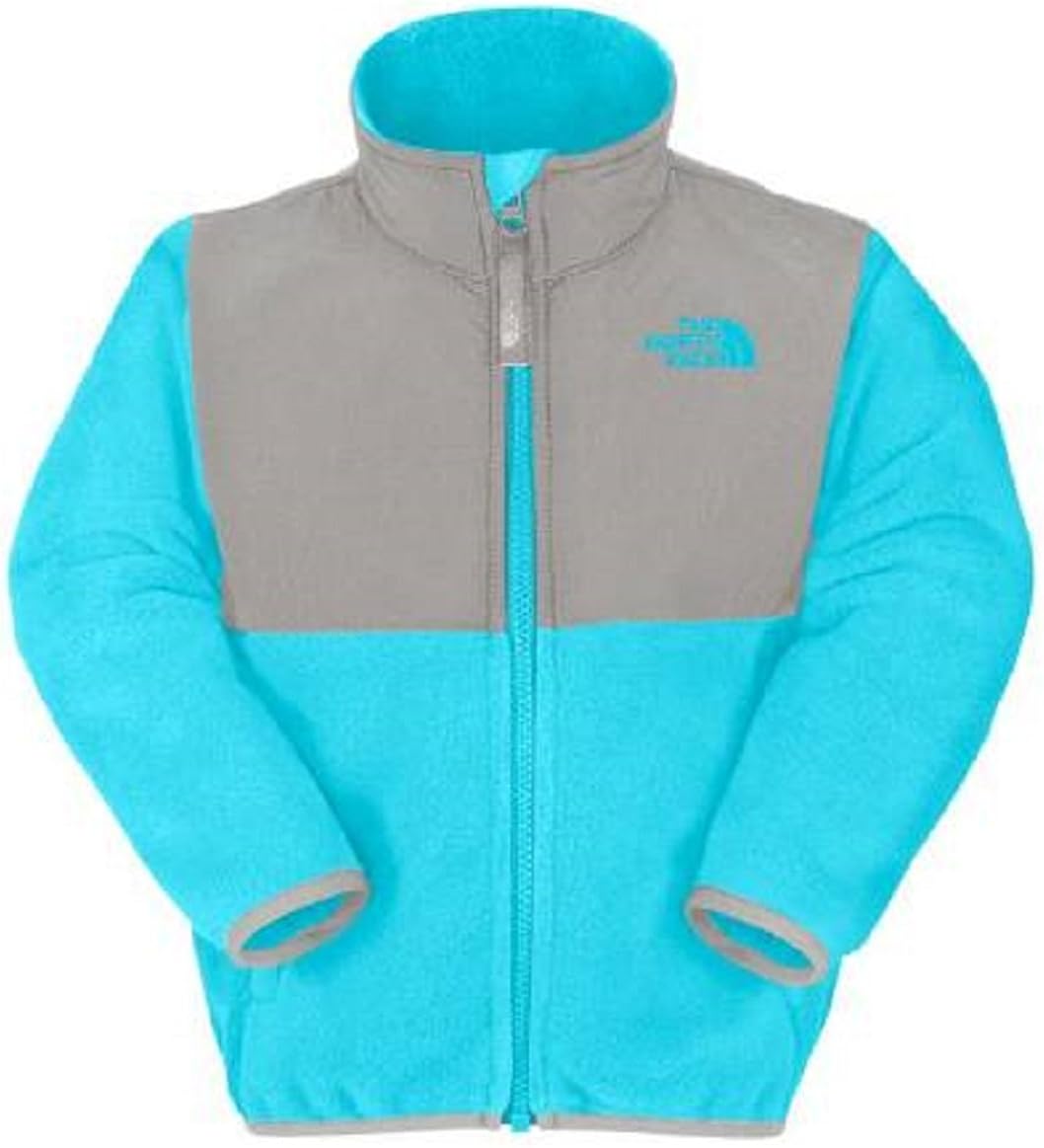 2t north face denali jacket