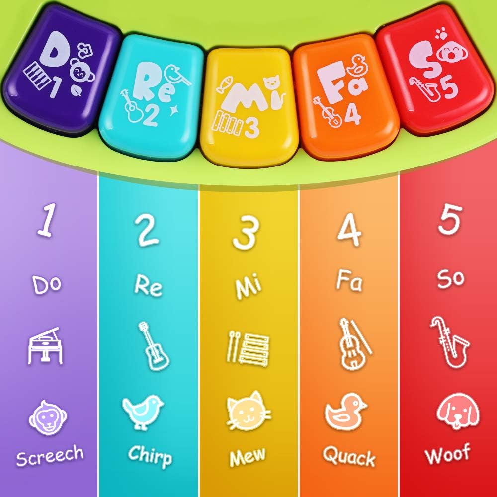 iPlay, iLearn Baby Music Elephant Toys, Toddler Electronic Learning Sensory Toy, Musical Piano Keyboard W/ Lights Sounds, Infant Birthday Gift for 6 9 12 18 24 Months, 1 2 Year Olds Kids Boys Girls: Toys & Games