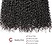 Pizazz Brazilian Curly Hair with Closure Unprocessed Brazilian Virgin Hair 3 Bundles with Closure Free Part 100% Human Hair Natural Black Color(14 16 18+12)