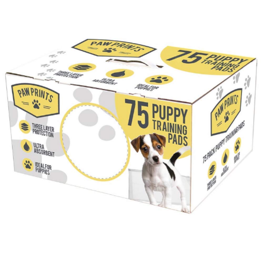 Kingfisher 75 PACK PUPPY TRAINING PADS, transparent