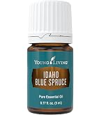 Amazon.com: Young Living - Northern Lights Black Spruce 15 ml
