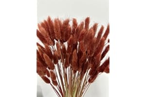 HSTEY 120pcs Bunny Tails Grass Burnt Orange Fall Dried Flowers Plant Boho Pampas Grass 17 inch for Home Decor Wedding Bouquet Natural Flower Arrangements (Caramel)