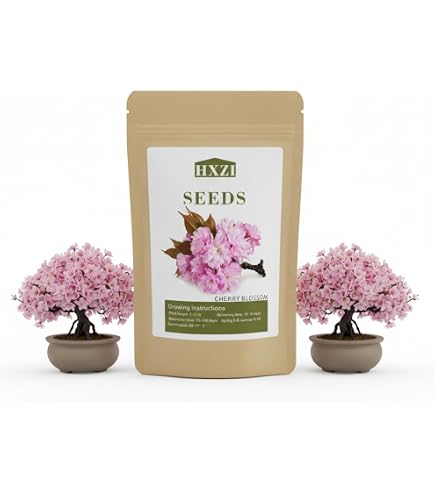 Amazon.com : 12 Japanese Flowering Cherry Blossom Seeds : Patio