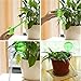 CoscosX 4 Pcs Automatic Watering Device Globes Vacation Houseplant Plant Pot Bulbs Garden Waterer Flower Water Drip Irrigationdevice Self Watering System