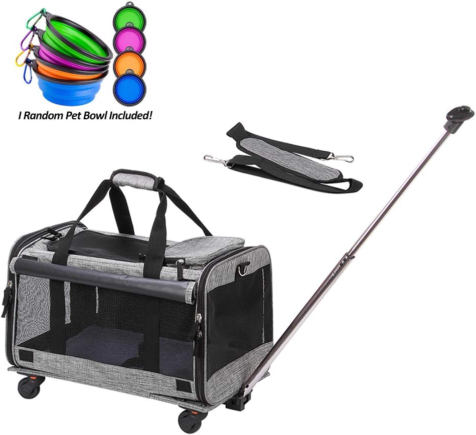 Best 2 cat carrier car seat