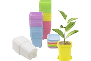 foxany 30 Pcs 3" Plants Nursery Pot, Thick Plastic Square Colorful Flower Planting Pots, Plant Seedling Pots, Seed Starting Pots with Saucers - Multi 30 Pcs