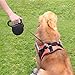 Youandme Retractable Dog Leash, 16 ft Dog Walking Leash for Medium Large Dogs up to 110lbs, Tangle Free, One Button Break & Lock, Reflective Ribbon Cord