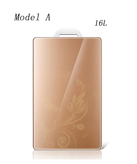 LIANJUN Portátil Nevera Rígida Refrigerador Eléctrico 16L ...