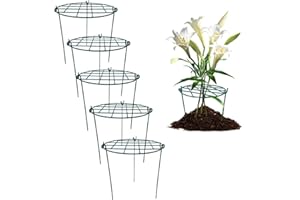 MTB SUPPLY 16 x 24 inch Peony Cages,Grow Through Plant Support Stakes, Flower Support Hoops Heavy Plants Brace Rings,Pack of 5