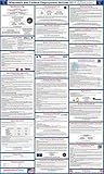 2017 Wisconsin State and Federal Labor Law Posters - Laminated 24