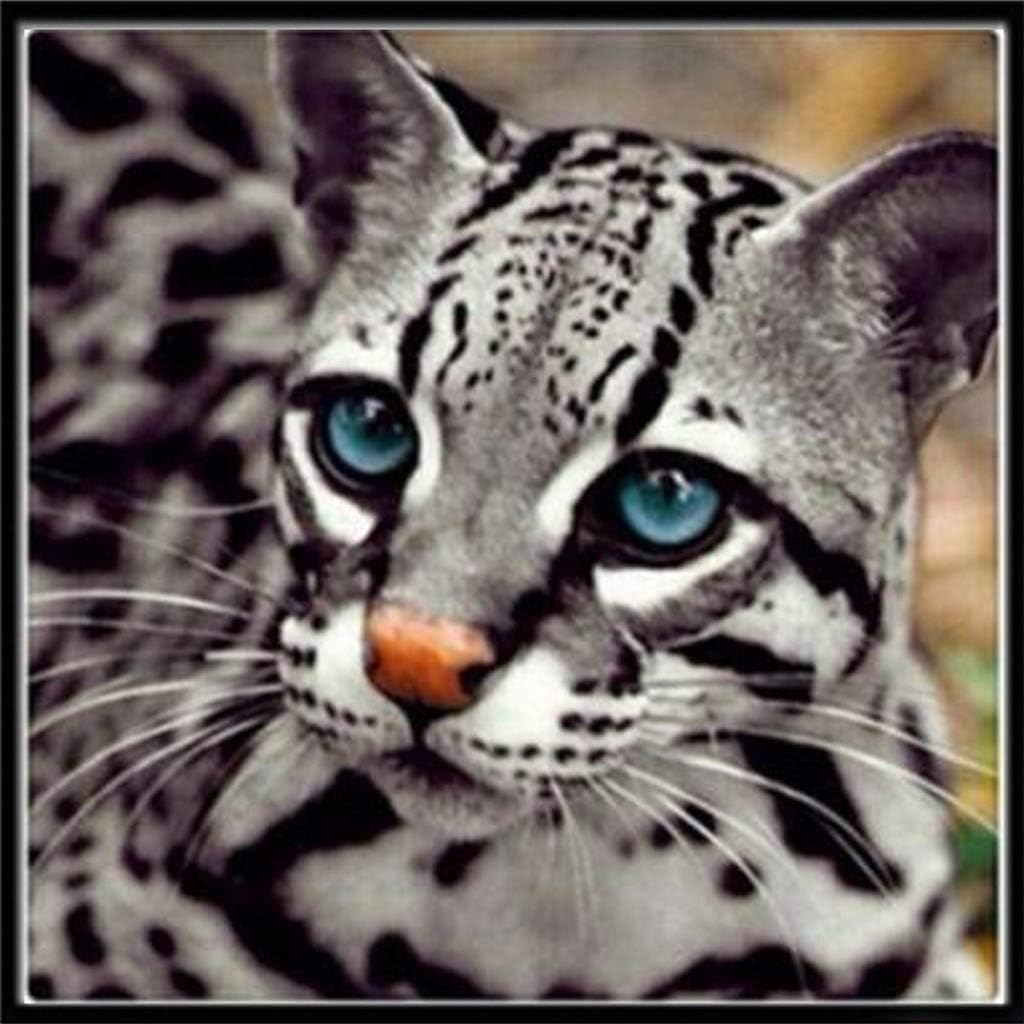 Woaills 5D Diamond Embroidery Painting Cross Stitch,Cat and Tiger DIY Home Decor Craft Square 11.81 Inches