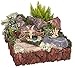 Joykick Fairy Garden Fish Pond Kit - Miniature Hand Painted Figurine Statues with Accessories - Set of 4pcs for Your House or Lawn Decor