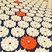 ZenGuru Best Acupressure Mat & Pillow Set - Effective Remedy for Pain and Stress Relief - with Magnet Therapy - Includes Carry Bag & Reflexology Foot Chart (Blue)