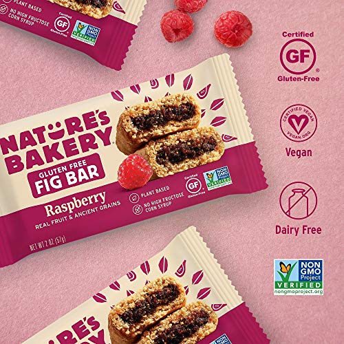 nature's bakery gluten free fig bar raspberry