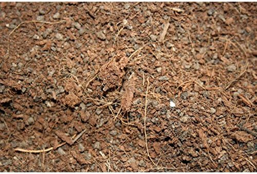 Sustrato de fibra de coco 3 L: Amazon.es: Jardín