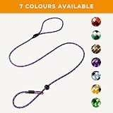Dog & Field Pro Trialler Slip Leash Purple 4ft 120cm Adjustable Loop view 4