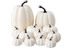 Oyydecor 12Pcs Assorted Sizes Artificial Pumpkins Decoration Harvest Fall White Pumpkins Fake Foam Pumpkins for Fall Autumn Decor Thanksgiving Halloween Decorations (White, 12pcs)