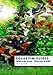 Aquarium Guide: Tropical Fish Species Guide (Aquarium Guides Book 2)