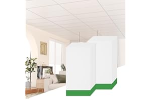LooYee 20 PCS 2 x 4 FT Drop Ceiling Tiles 24 x 48 Inch White PVC Smooth Ceiling Panels - Waterproof Fire-Rated to Prevent Breakage - Cover 160 Sq.Ft