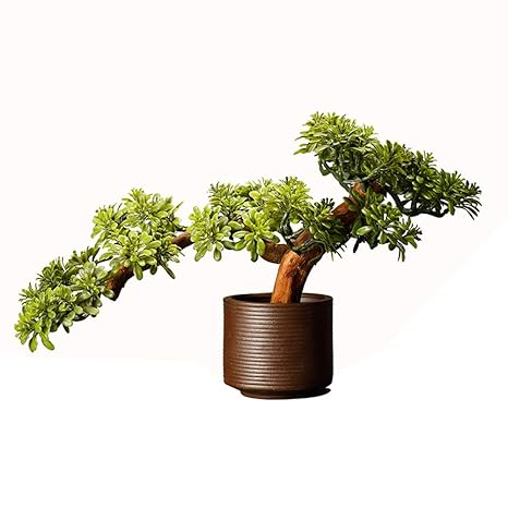 Buy Belupai Artificial Plant Flower Landscape Bonsai Accessories