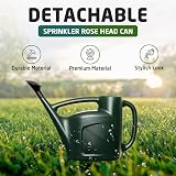Accurate 6L Watering Can with Sprinkler Rose Green garden tool view 7