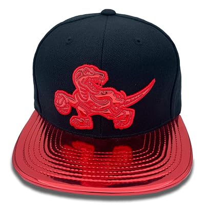 Ness Toronto Raptors Snapback Hat 