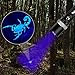 TOPROHOMIE Blacklight Flashlights, UV Flashlight Pet Urine Scorpion Bed Bug Detector with Zoomable Design, 2in1 Rechargeable UV & White LED Handheld Flashlight, 395nm Black Light Pet Urine Detector